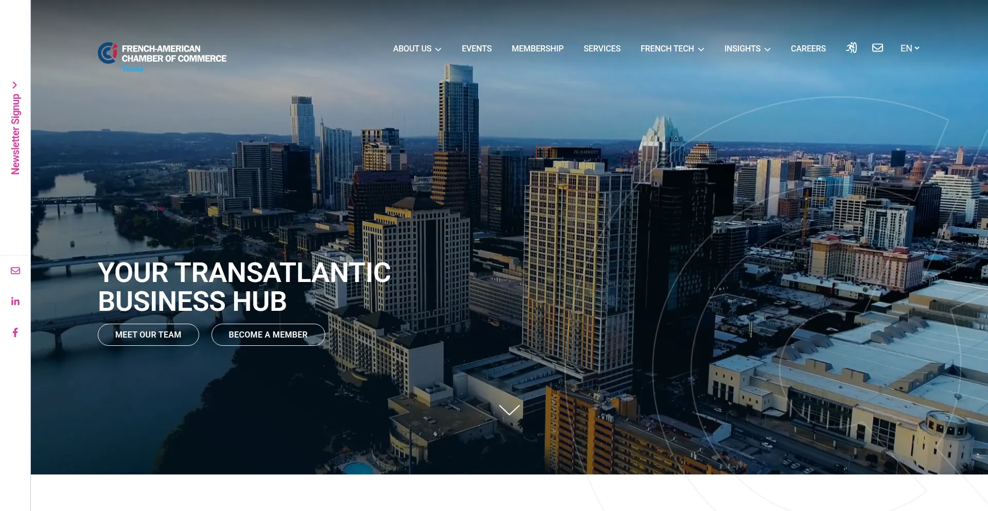 Website screenshot of Facctexas.com