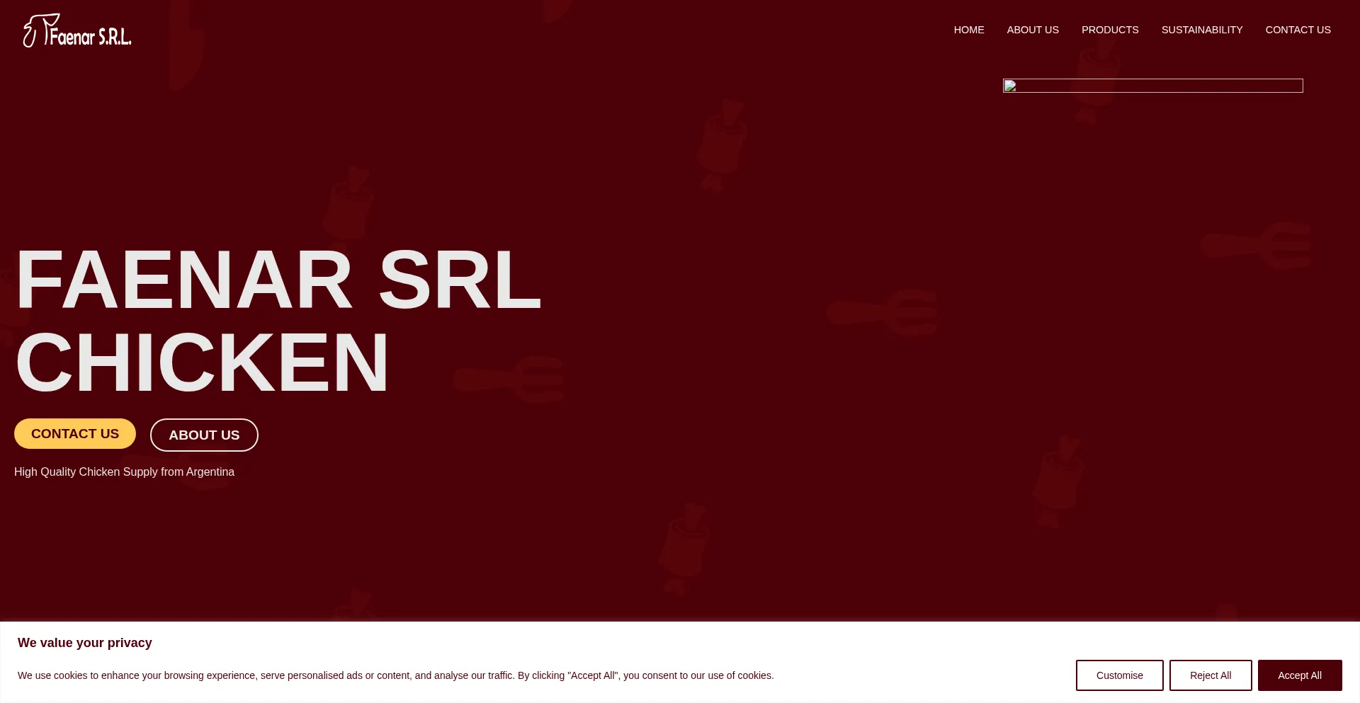 Website screenshot of Faenarsrl.com