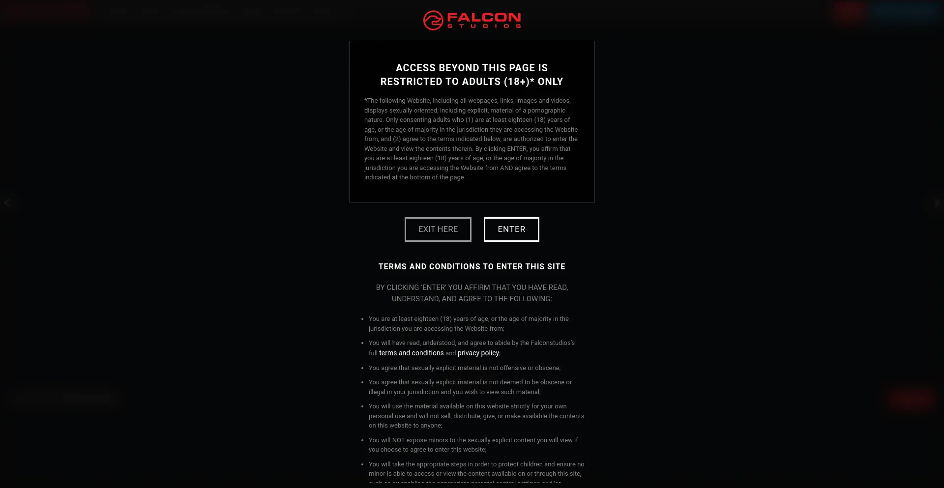 Website screenshot of Falconstudios.com