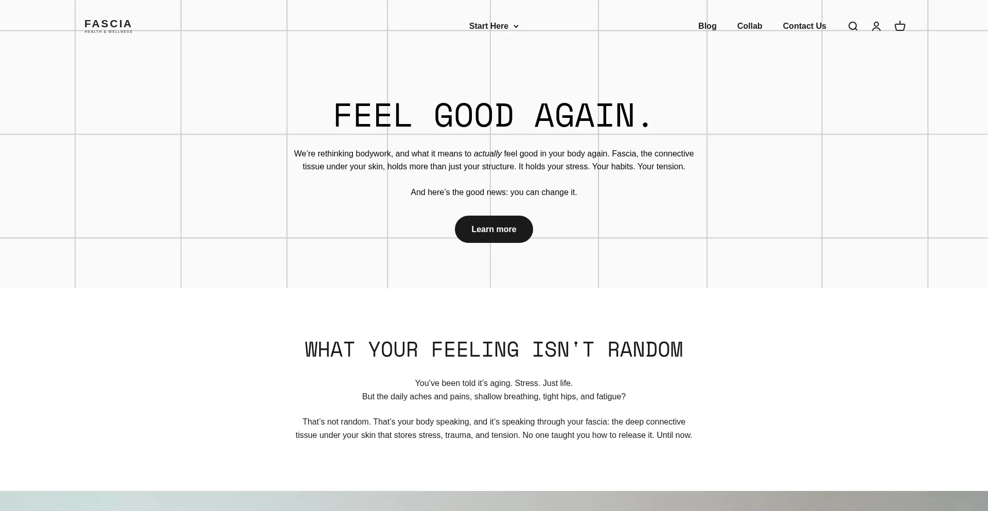 Website screenshot of Fascia.com