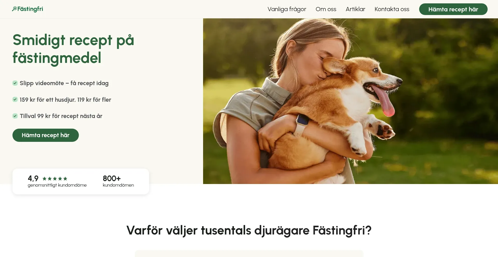 Website screenshot of Fastingfri.se