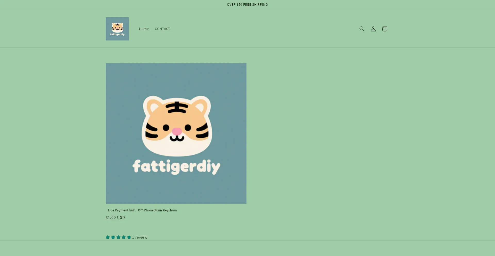 Fattigerdiy.com