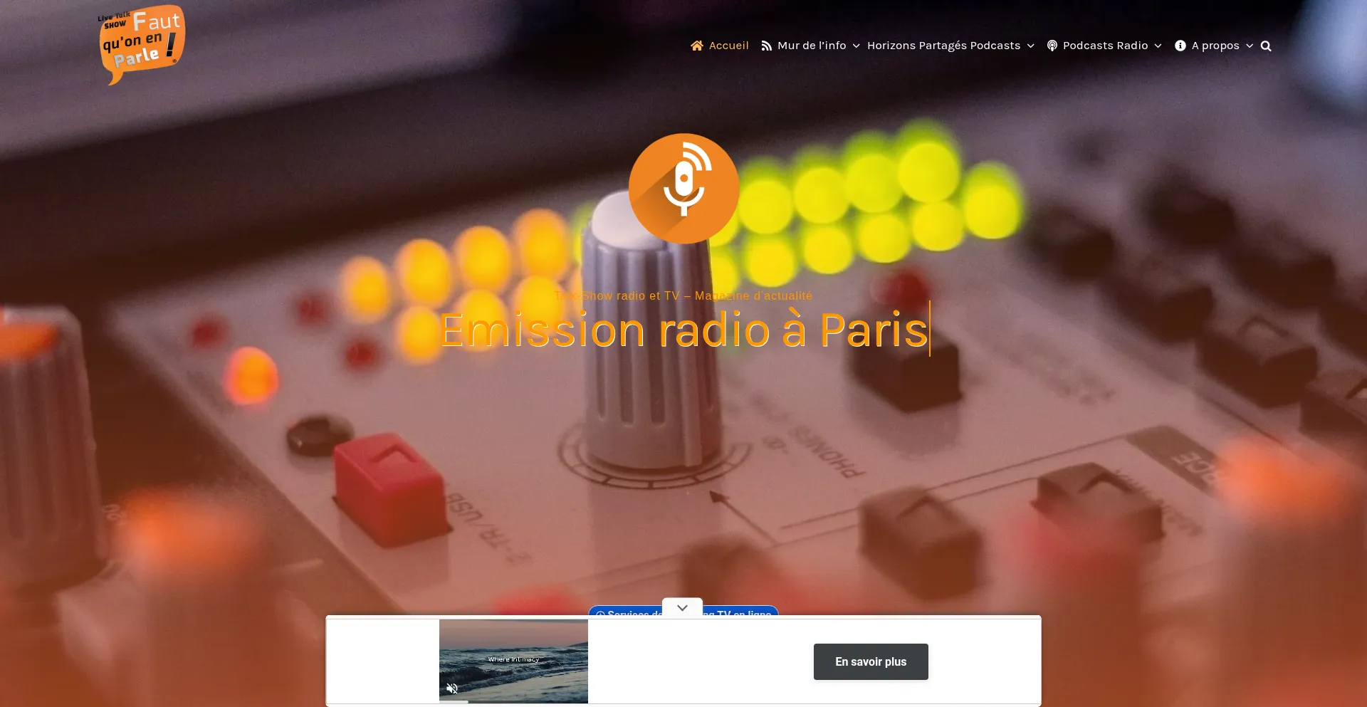 Website screenshot of Fautquonenparle.fr