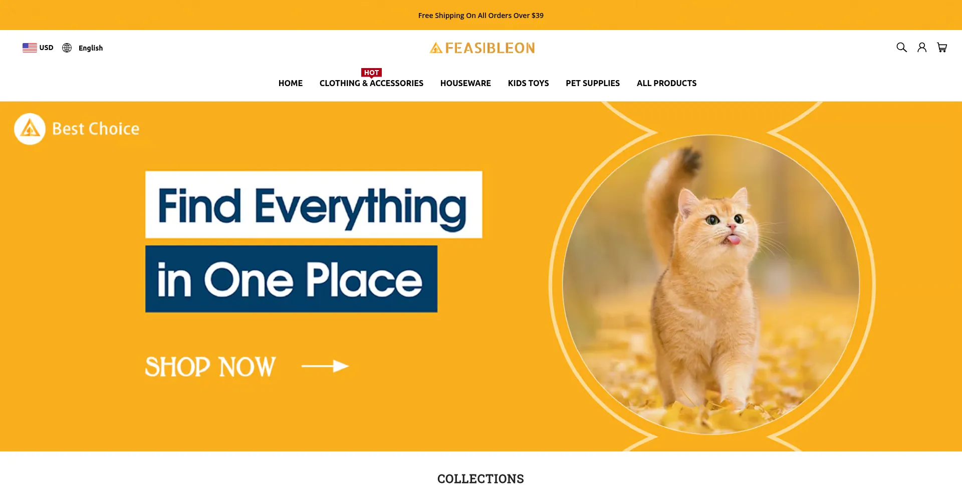 Feasibleon.com