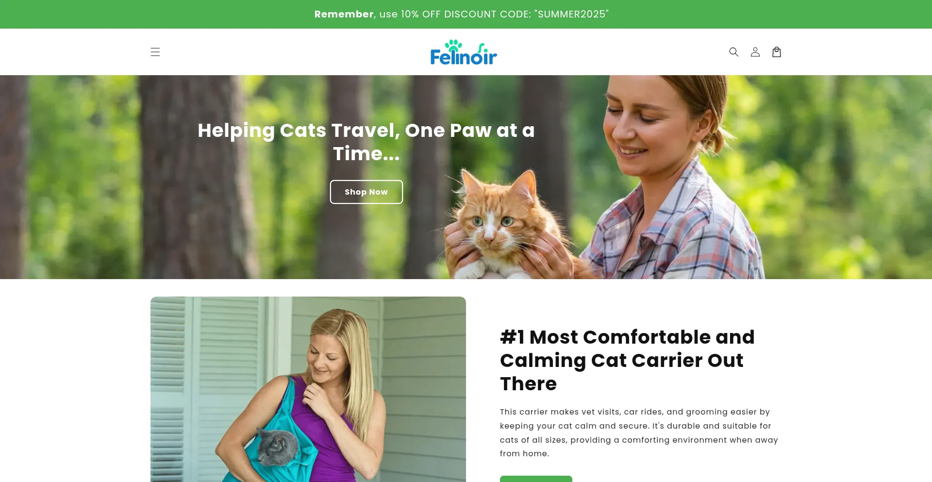 Website screenshot of Felinoir.com