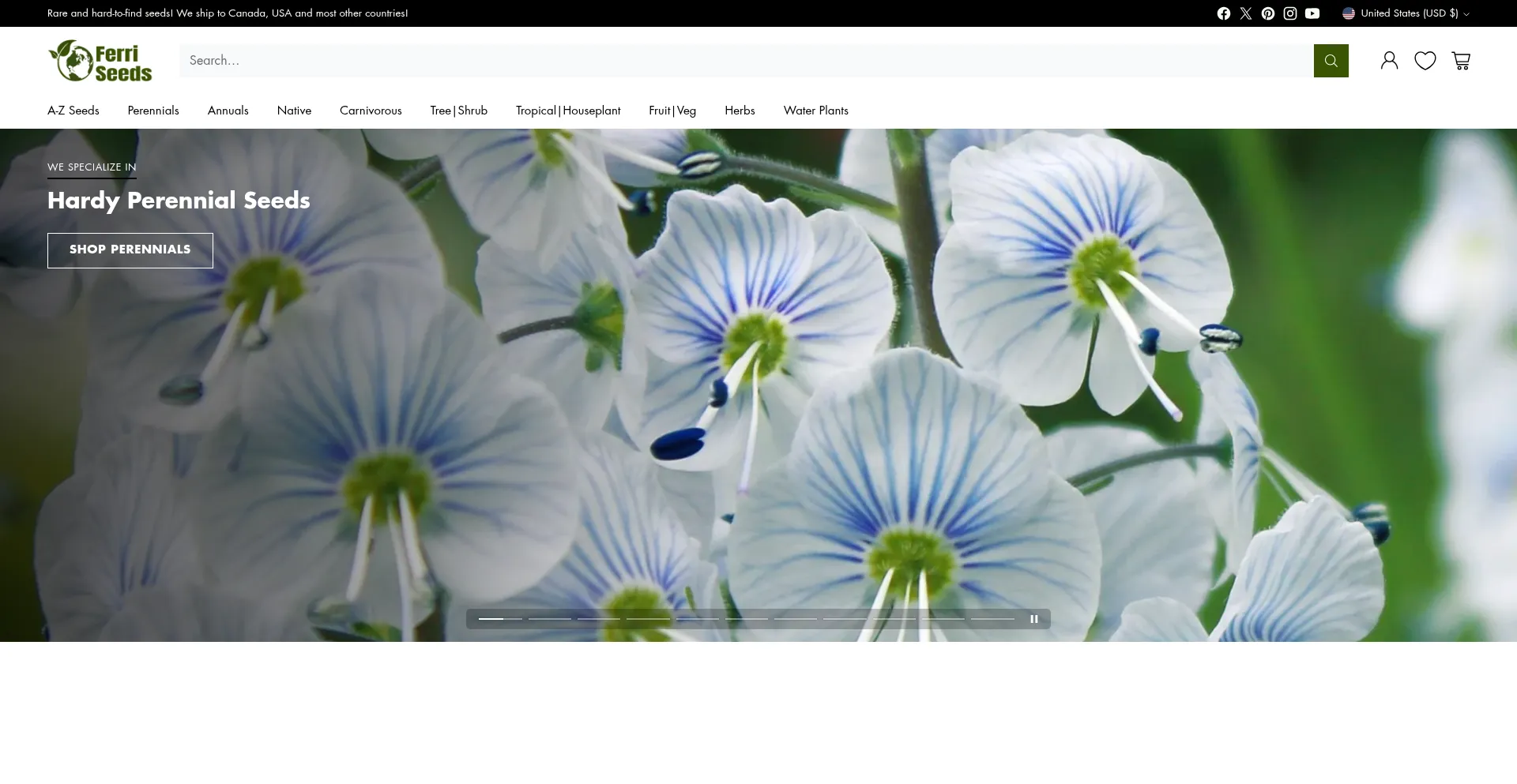 Website screenshot of Ferriseeds.com
