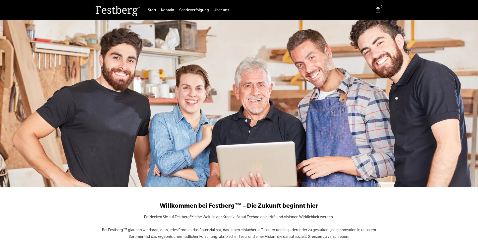 Website screenshot of Festberg.com