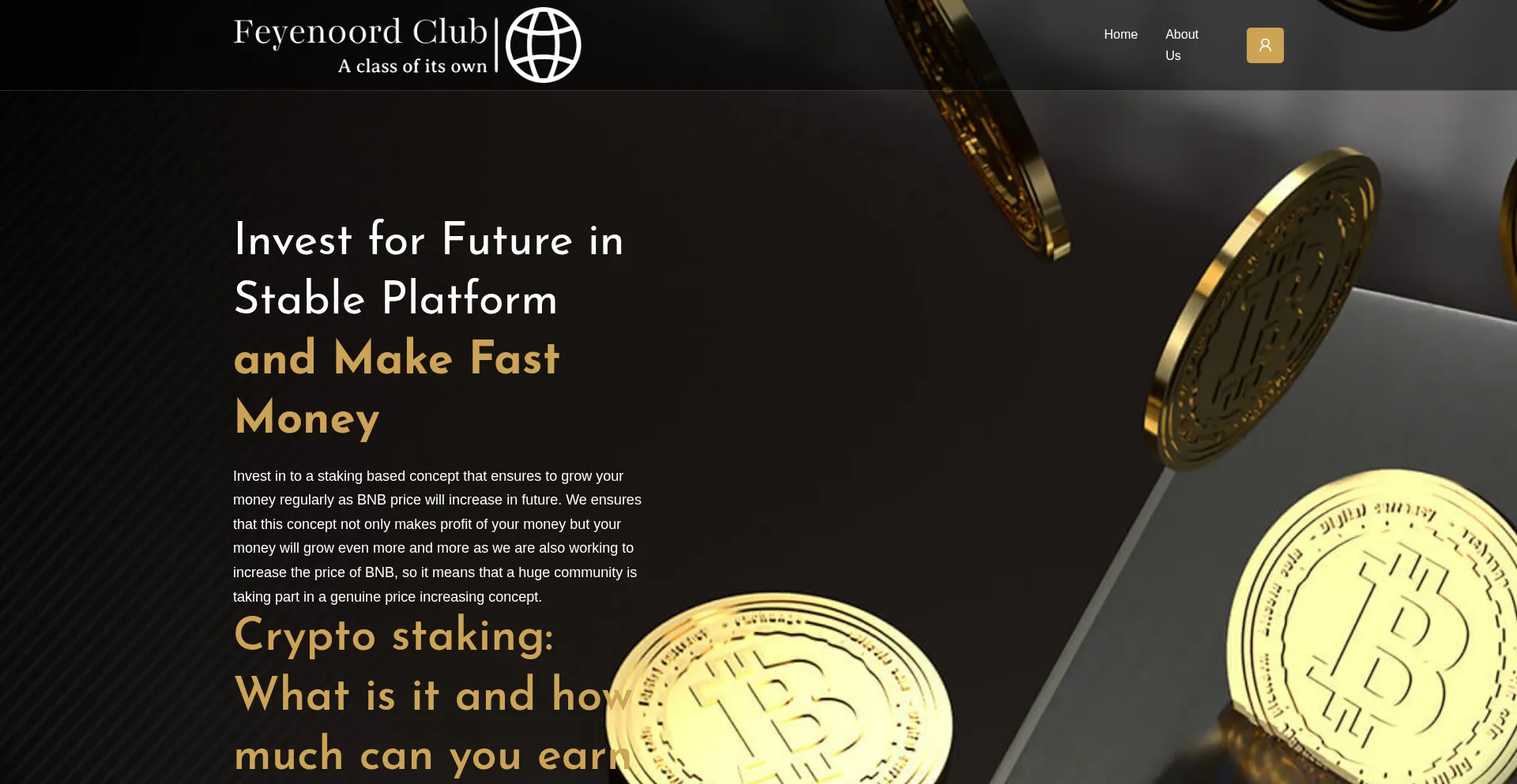 Website screenshot of Feyenoordclub.com