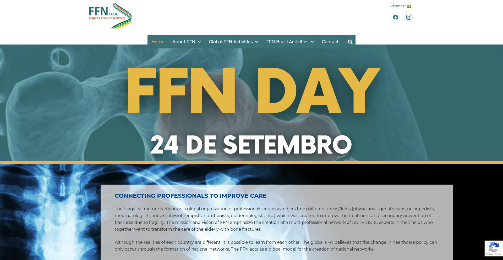Website screenshot of Ffnbr.org.br