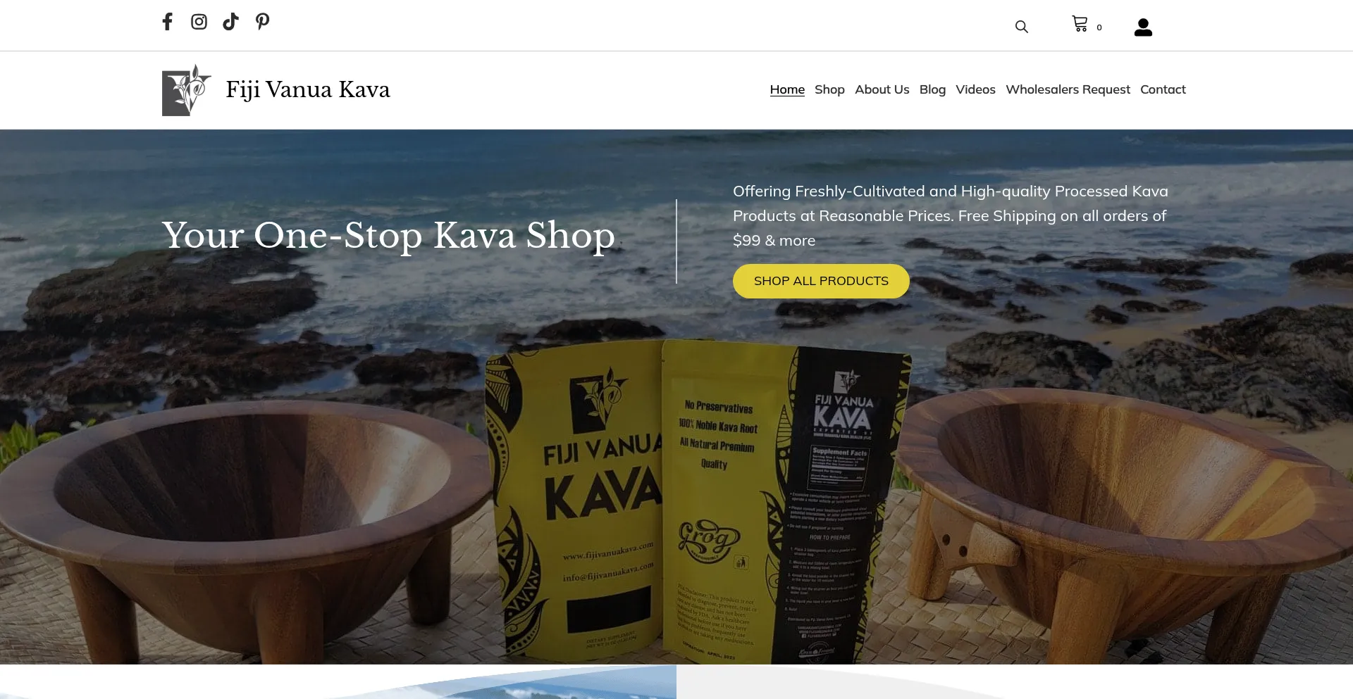 Website screenshot of Fijivanuakava.com