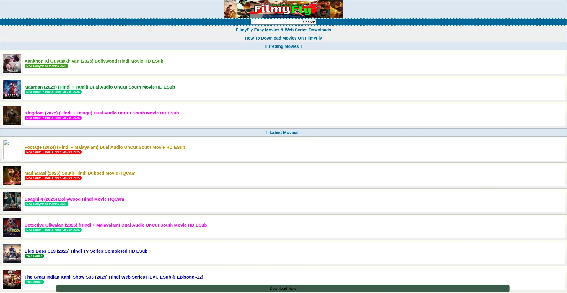 Website screenshot of Filmyfly.dog