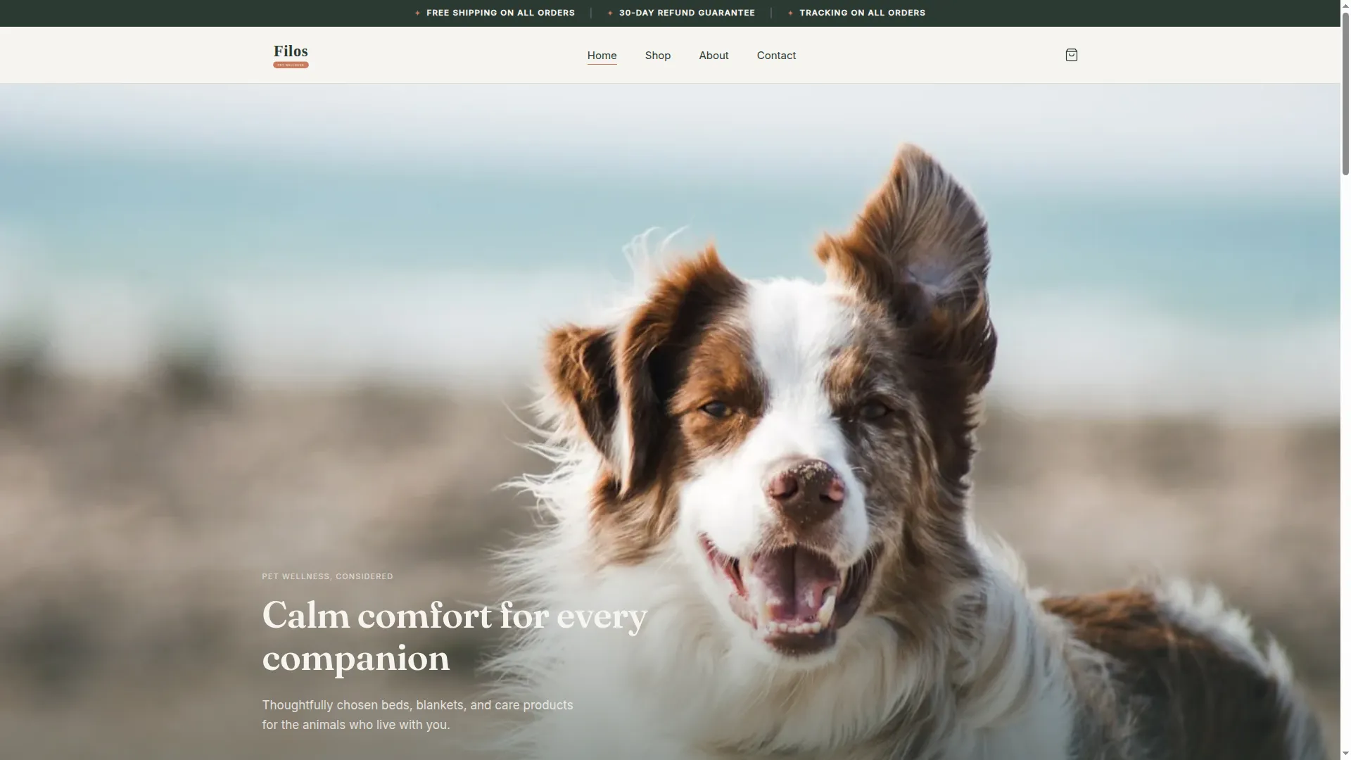 Filospets.com