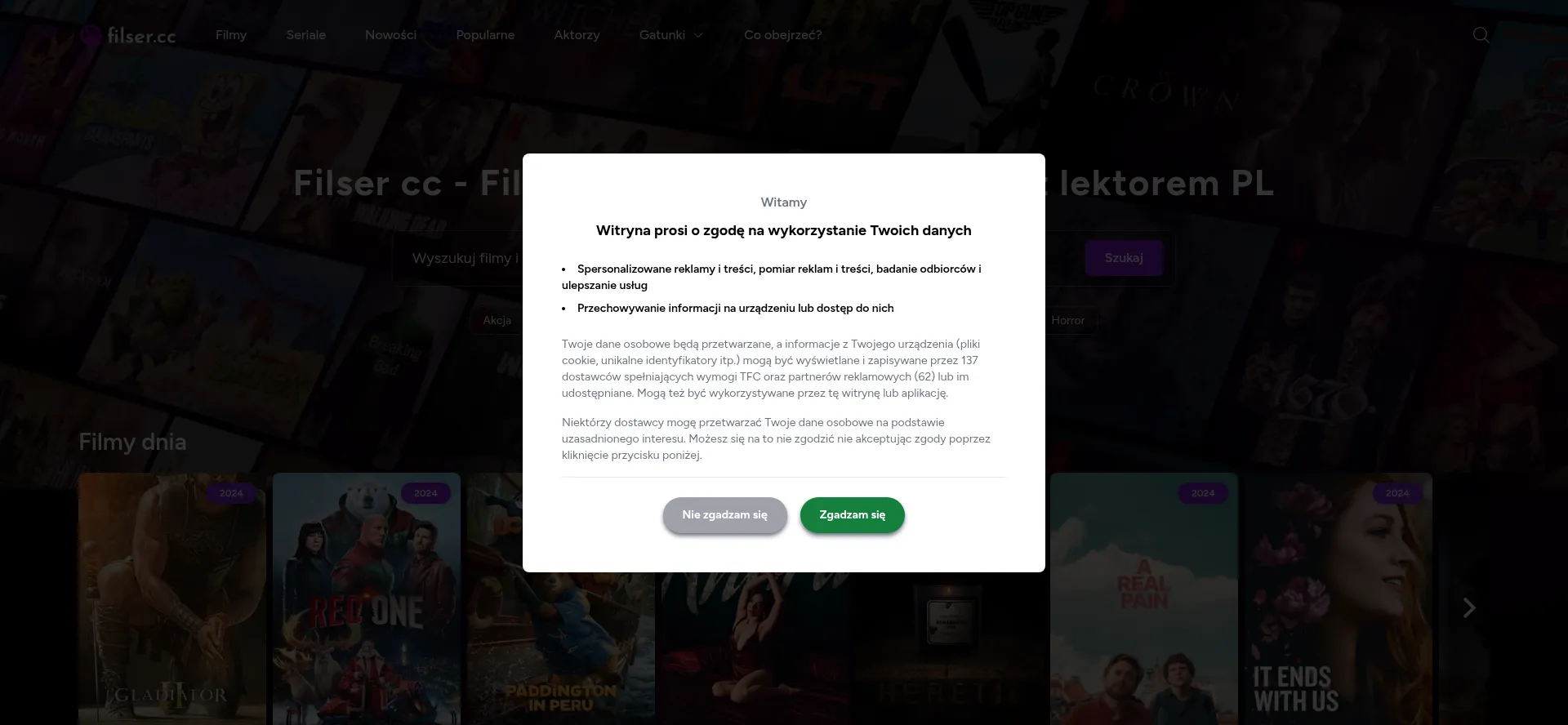 Website screenshot of Filser.pl