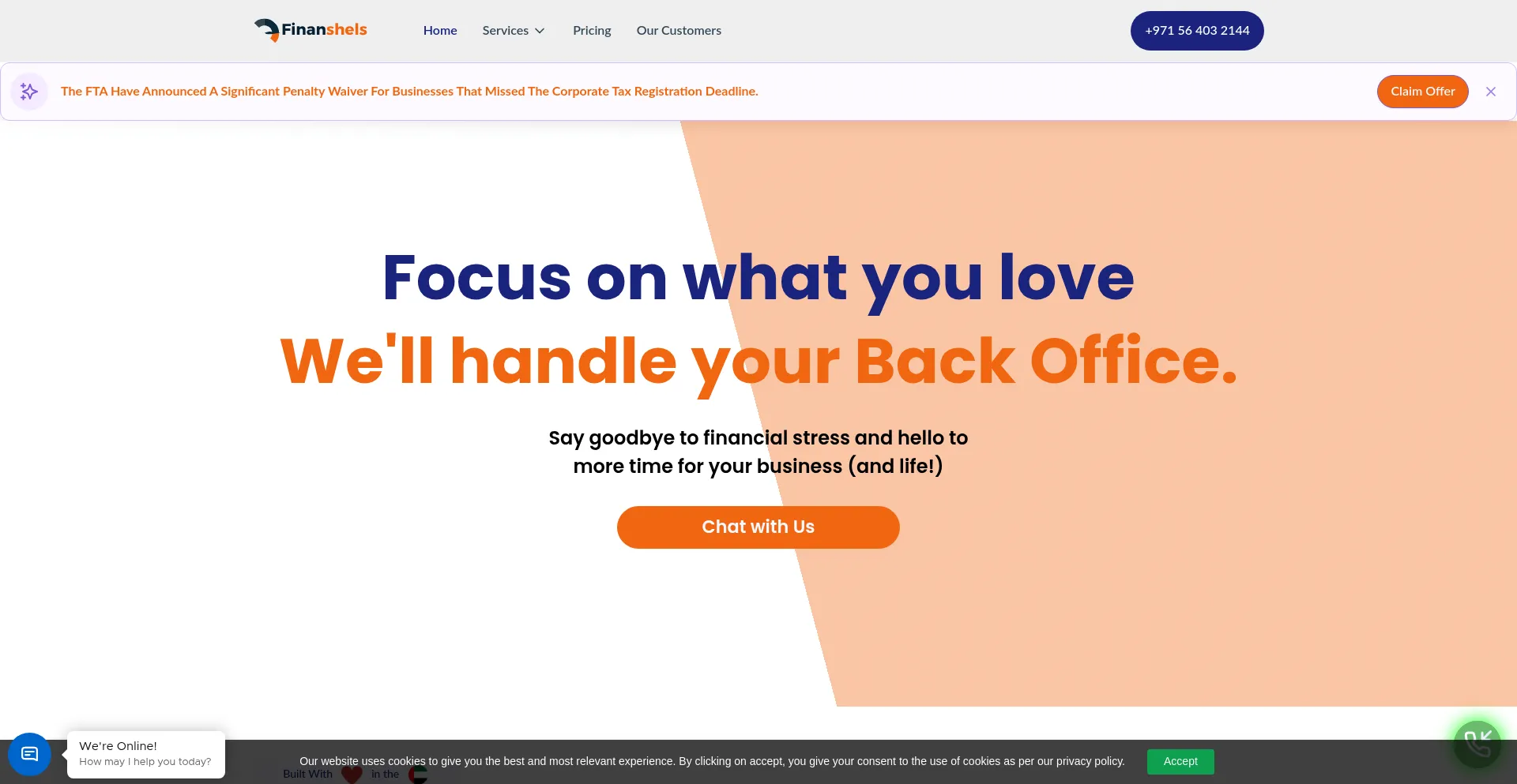 Website screenshot of Finanshels.com