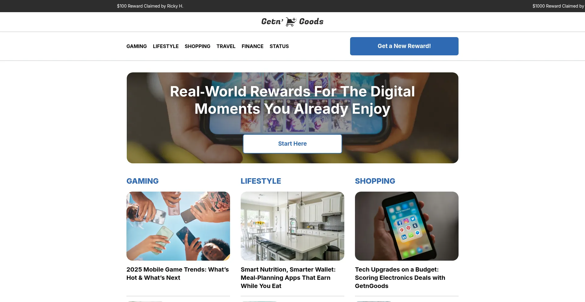 Website screenshot of Findgetngoods.com