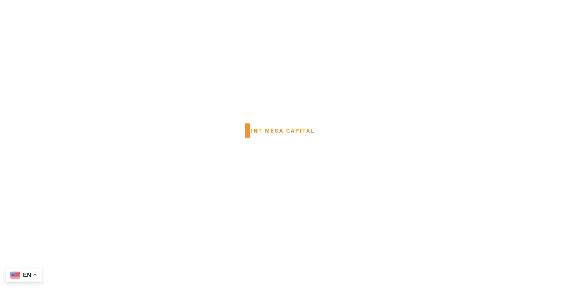 Fintmegacapital.com