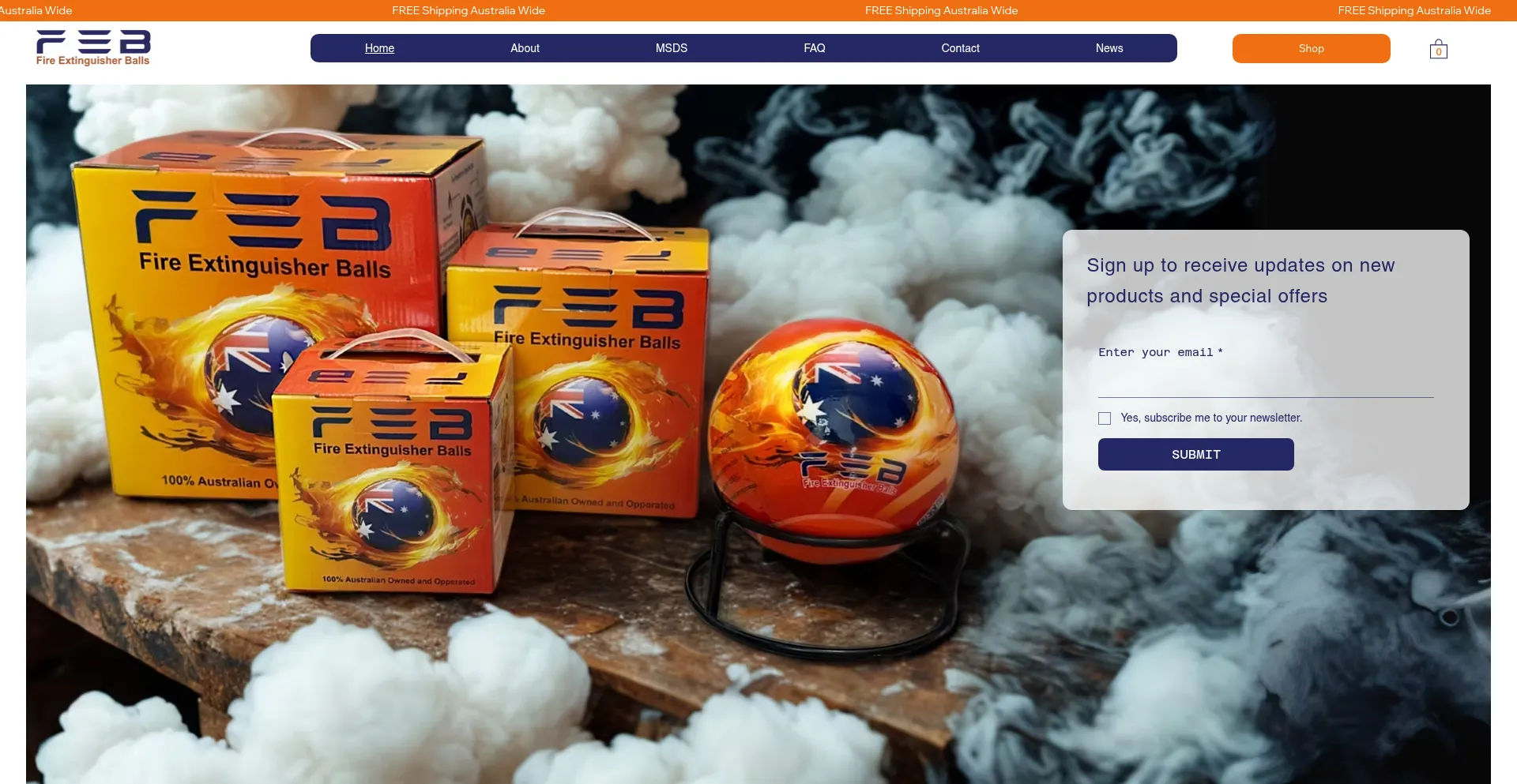 Website screenshot of Fireextinguisherballs.com.au
