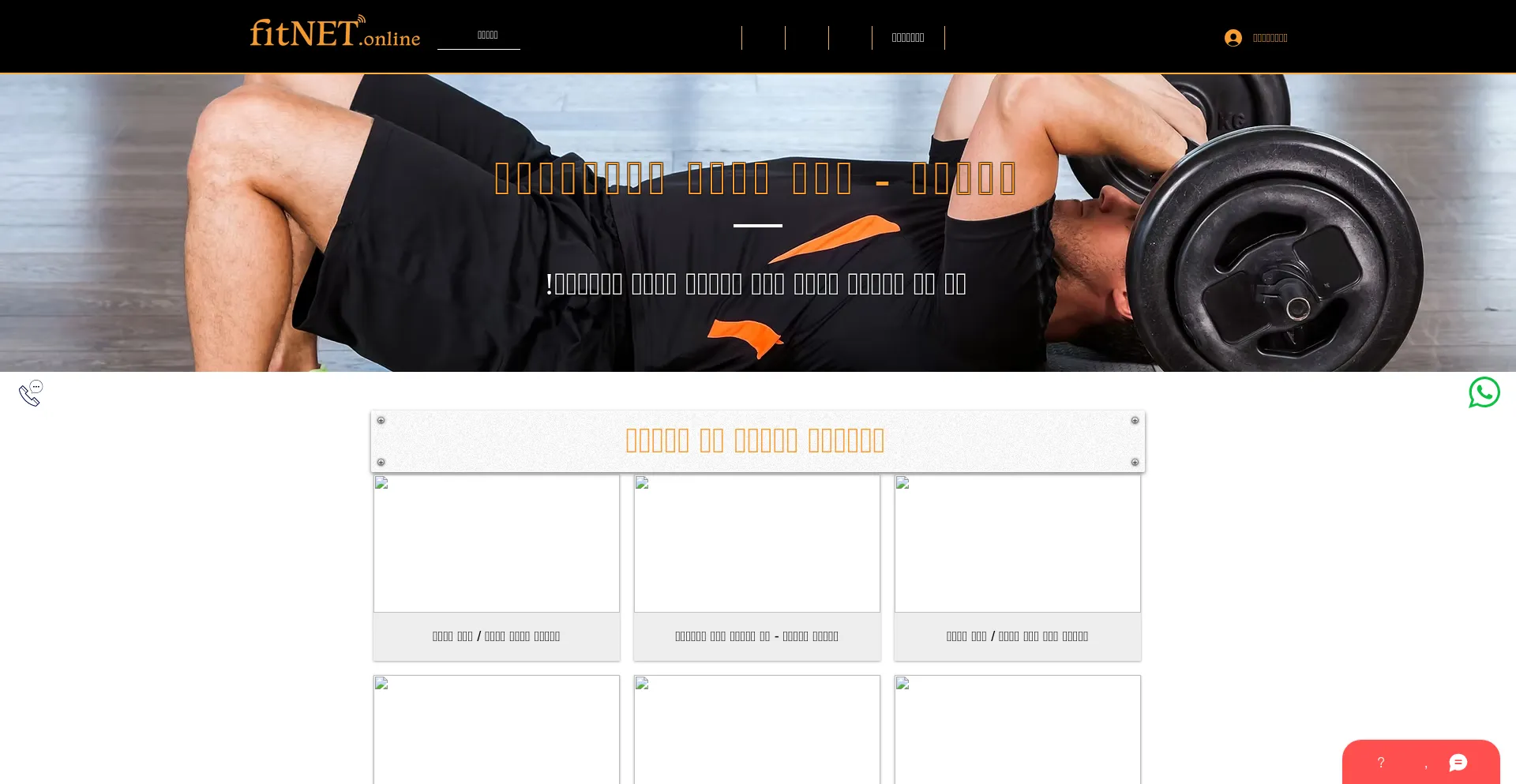 Website screenshot of Fitnet.online
