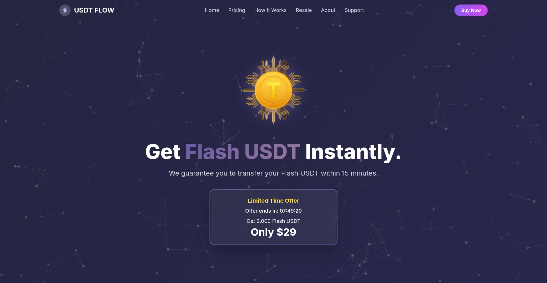 Website screenshot of Flashusdtpro.shop