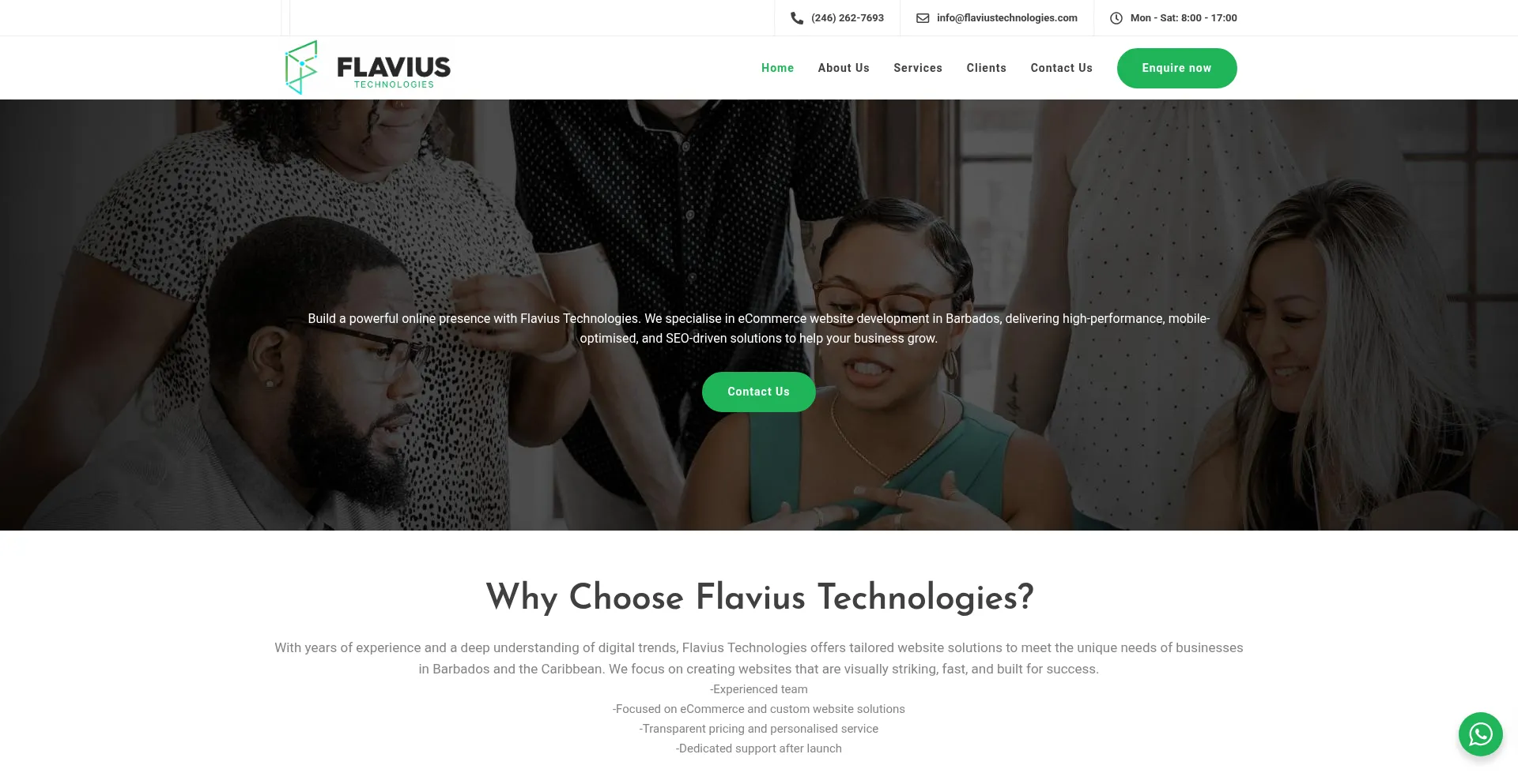 Website screenshot of Flaviustechnologies.com