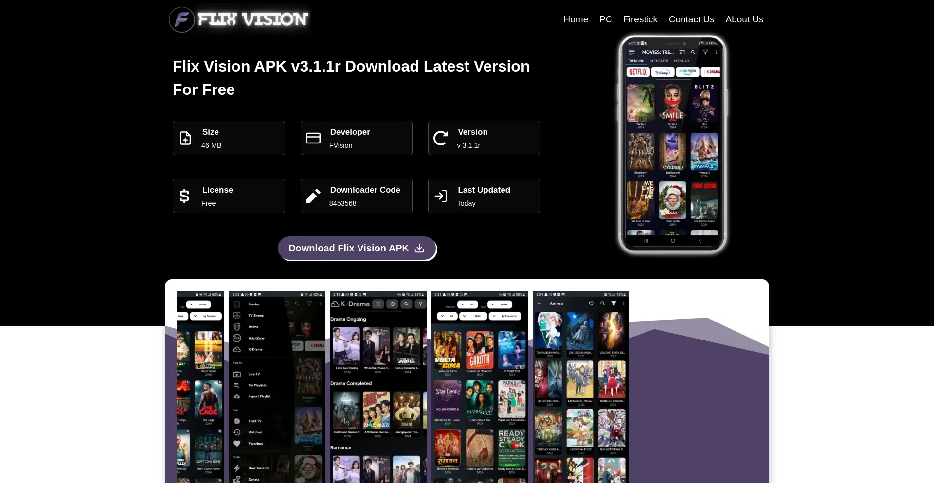 Flixvision.net
