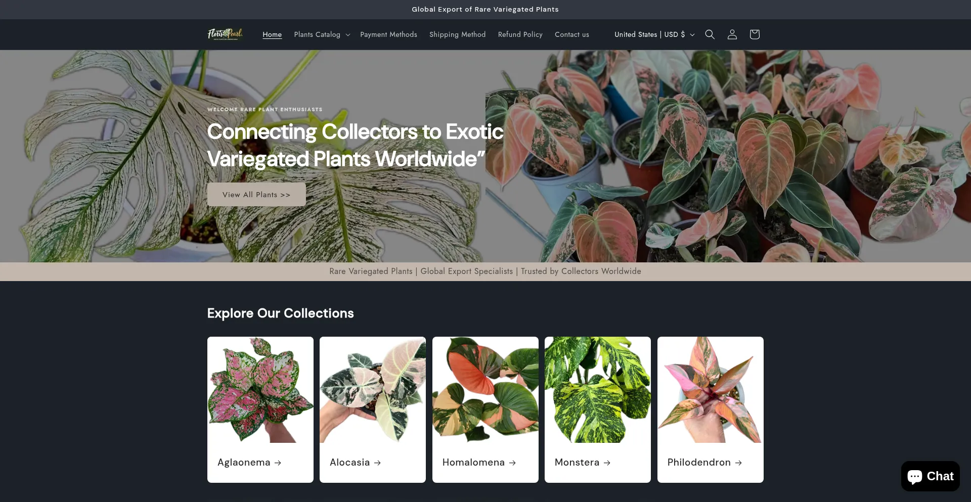 Website screenshot of Floristapearlstore.com