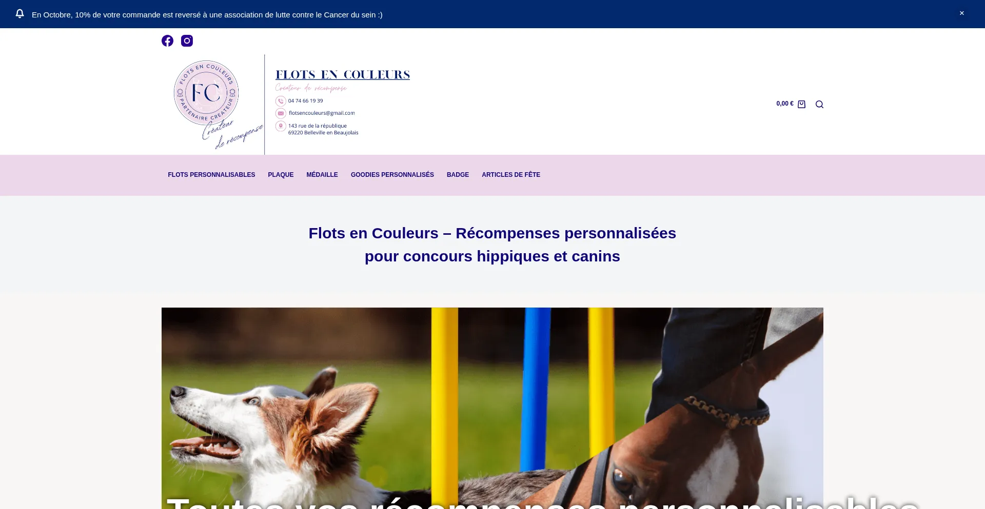 Flotsencouleurs.com