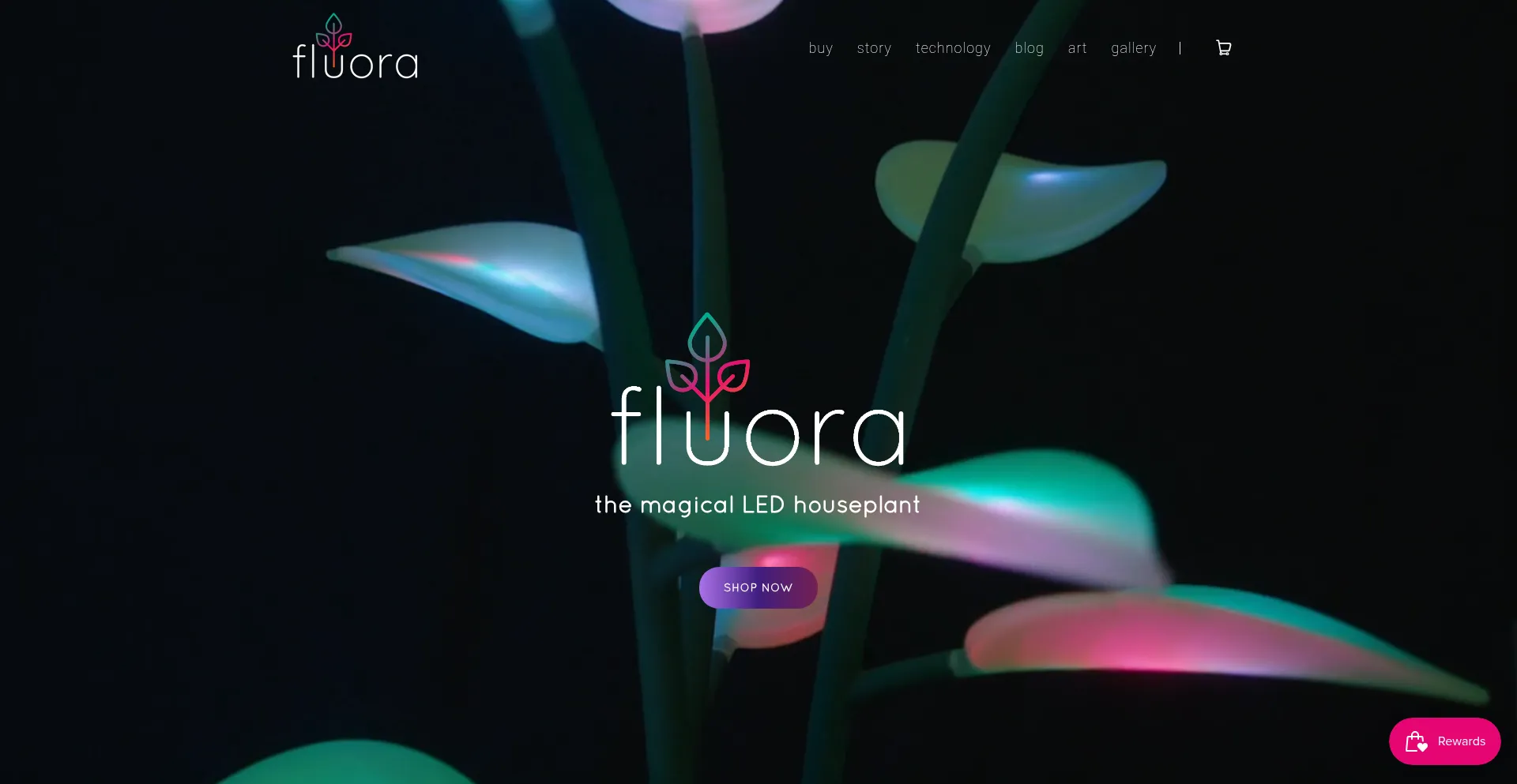 Website screenshot of Fluoraplant.com