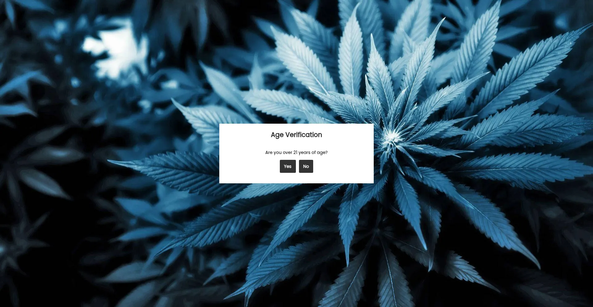 Website screenshot of Flwrdirect.com