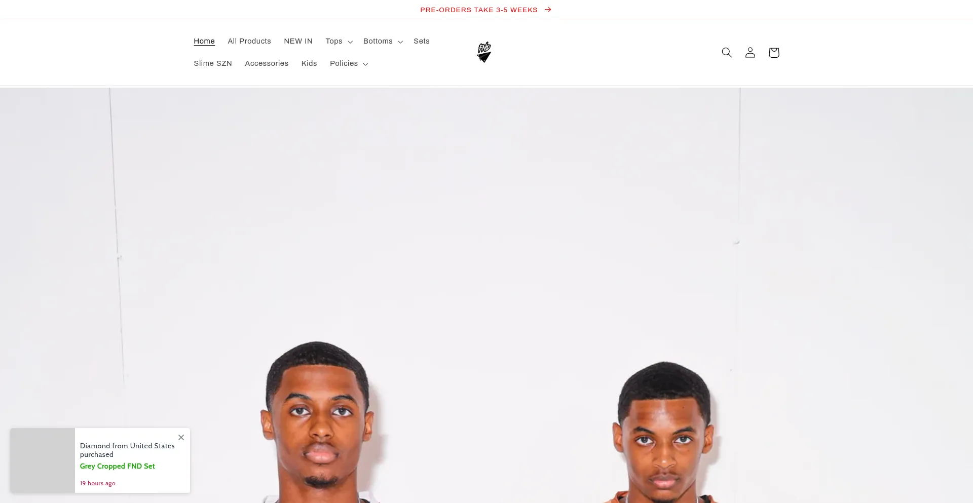 Website screenshot of Flyndiscreet.com