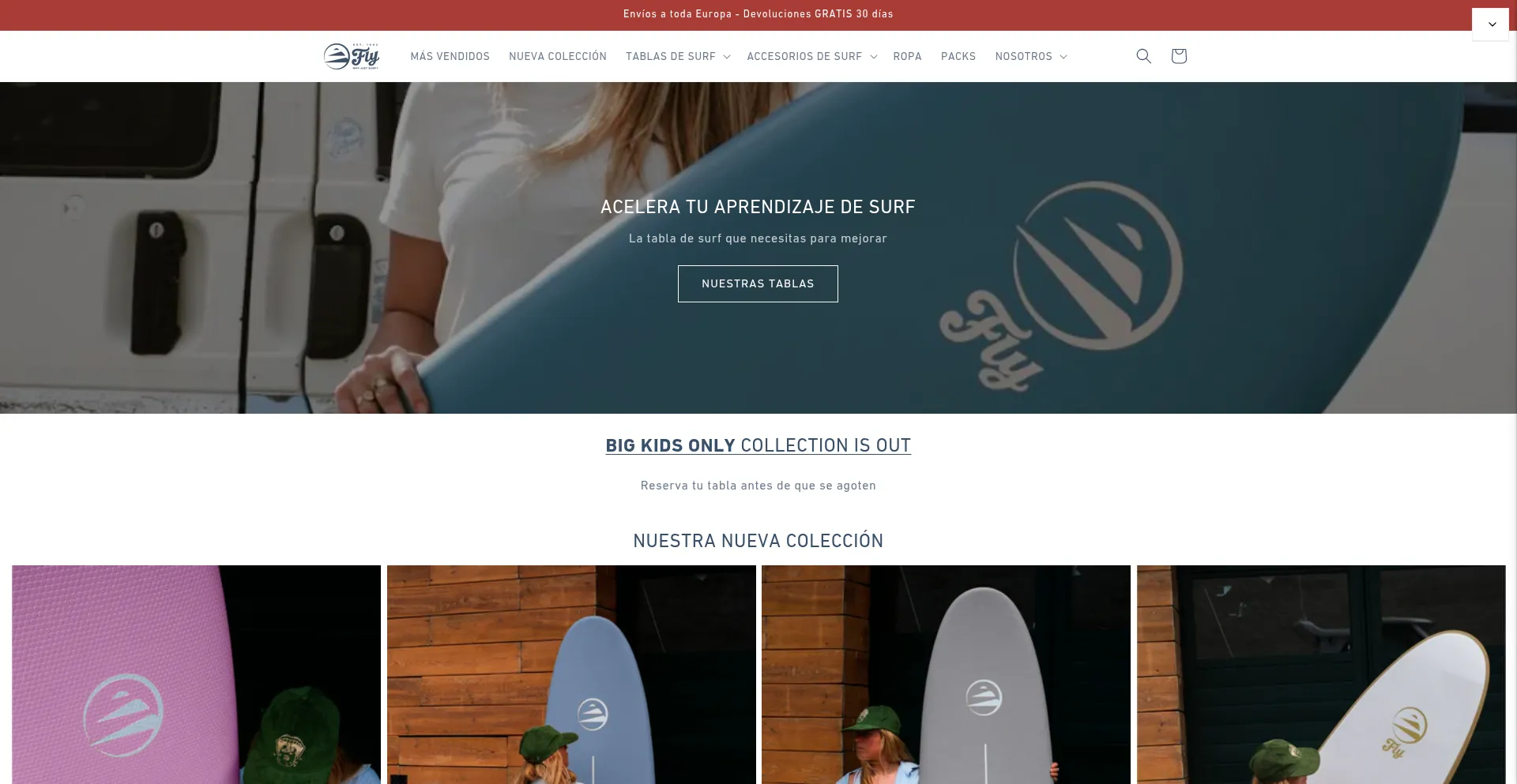Website screenshot of Flysurfbrand.com