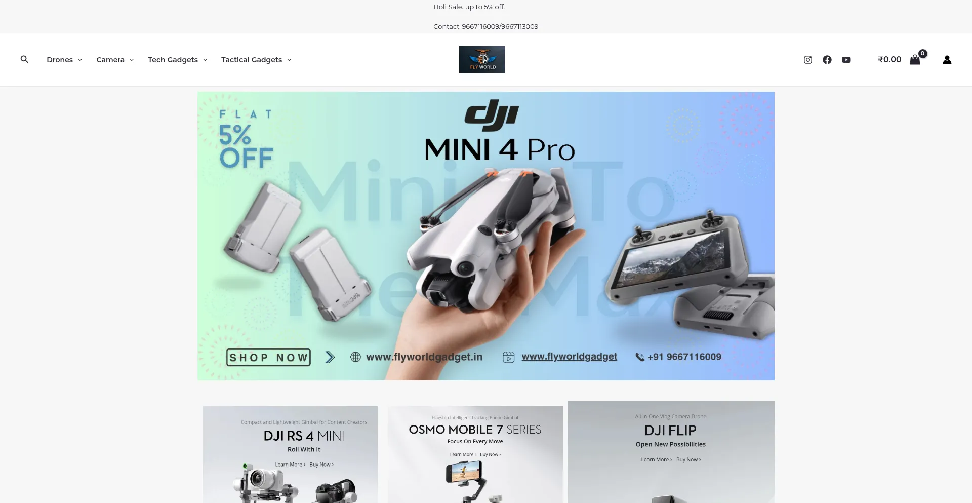Website screenshot of Flyworldgadget.in