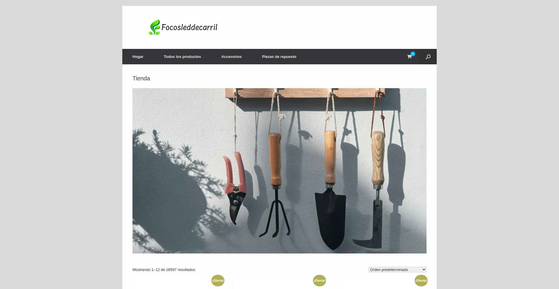 Website screenshot of Focosleddecarril.com