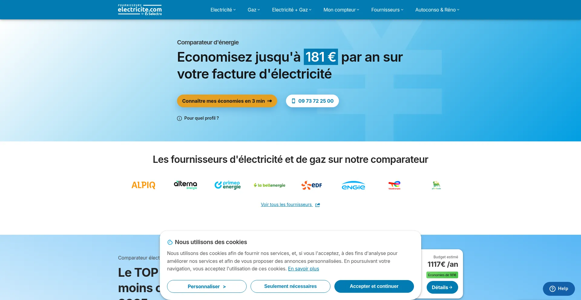 Website screenshot of Fournisseurs-electricite.com