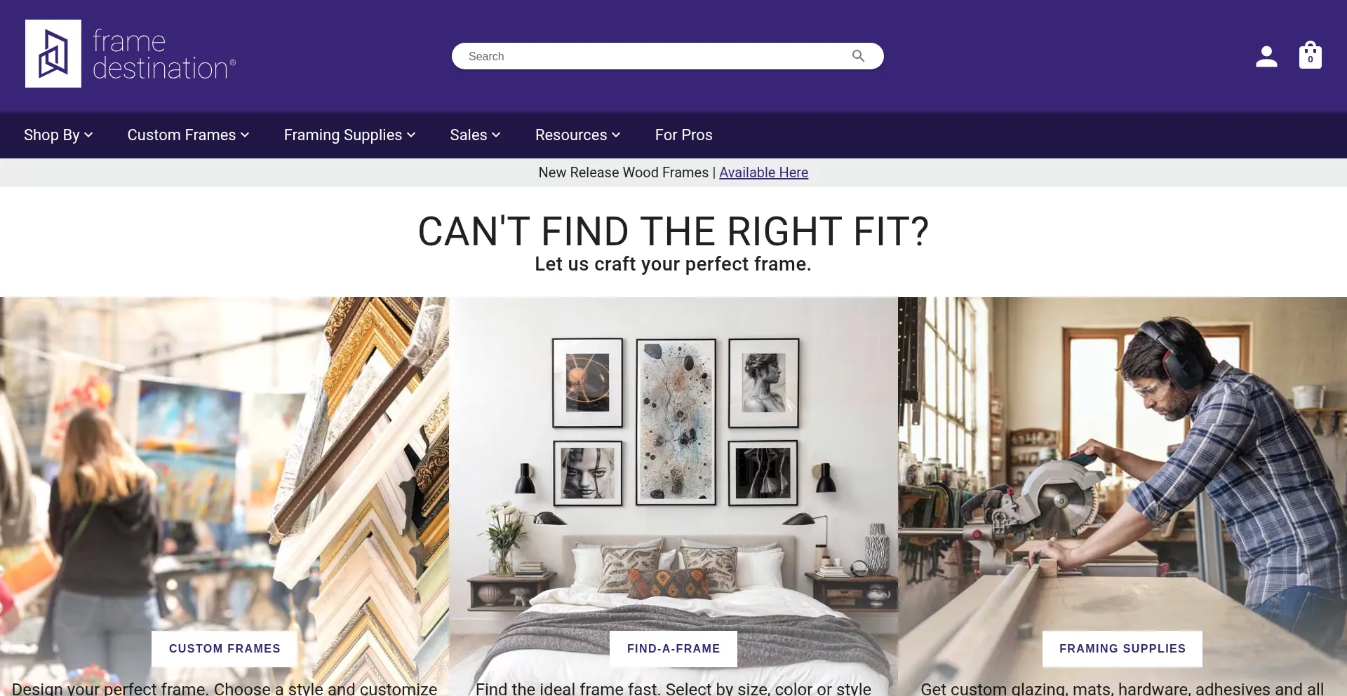 Website screenshot of Framedestination.com