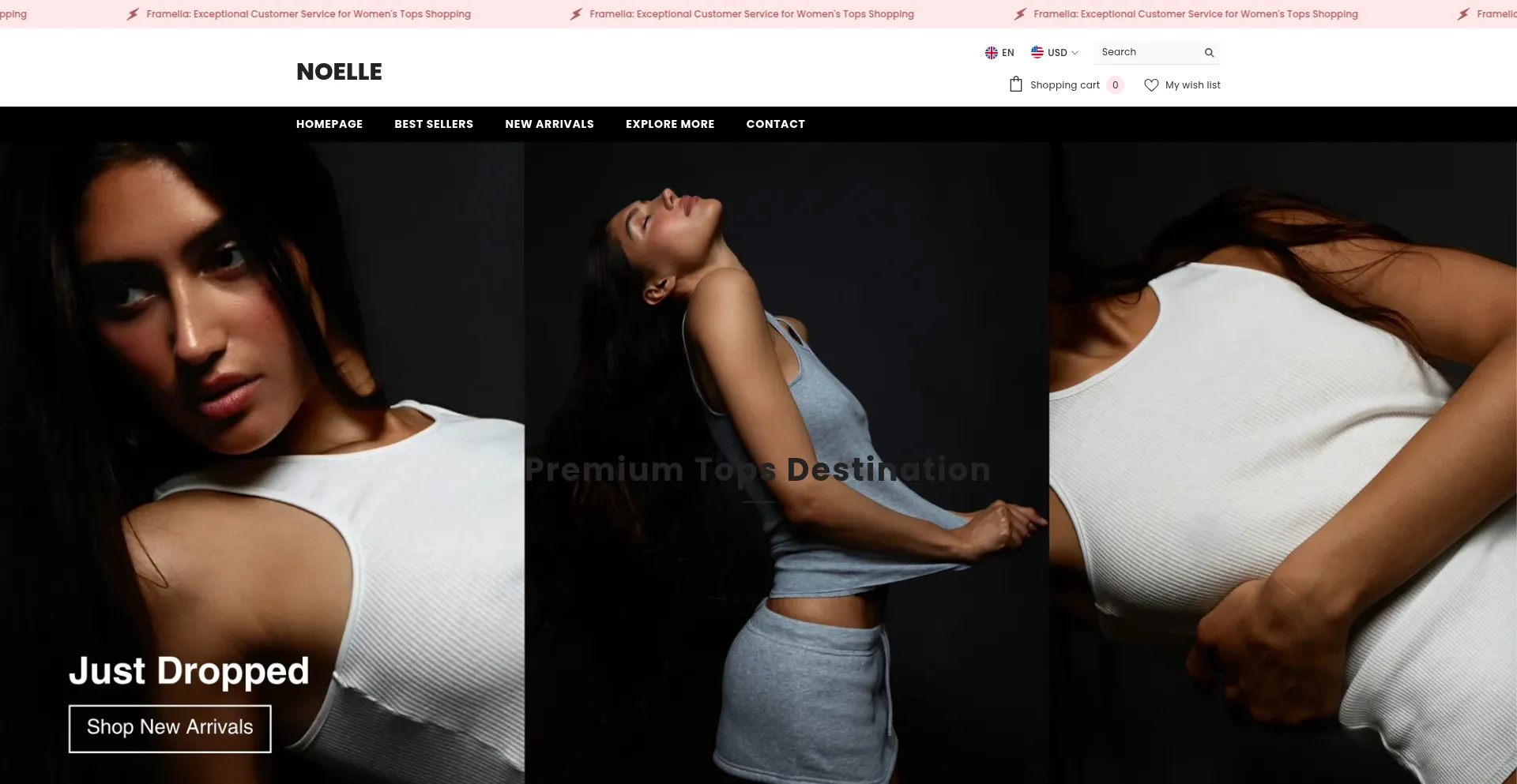 Website screenshot of Framelia.org