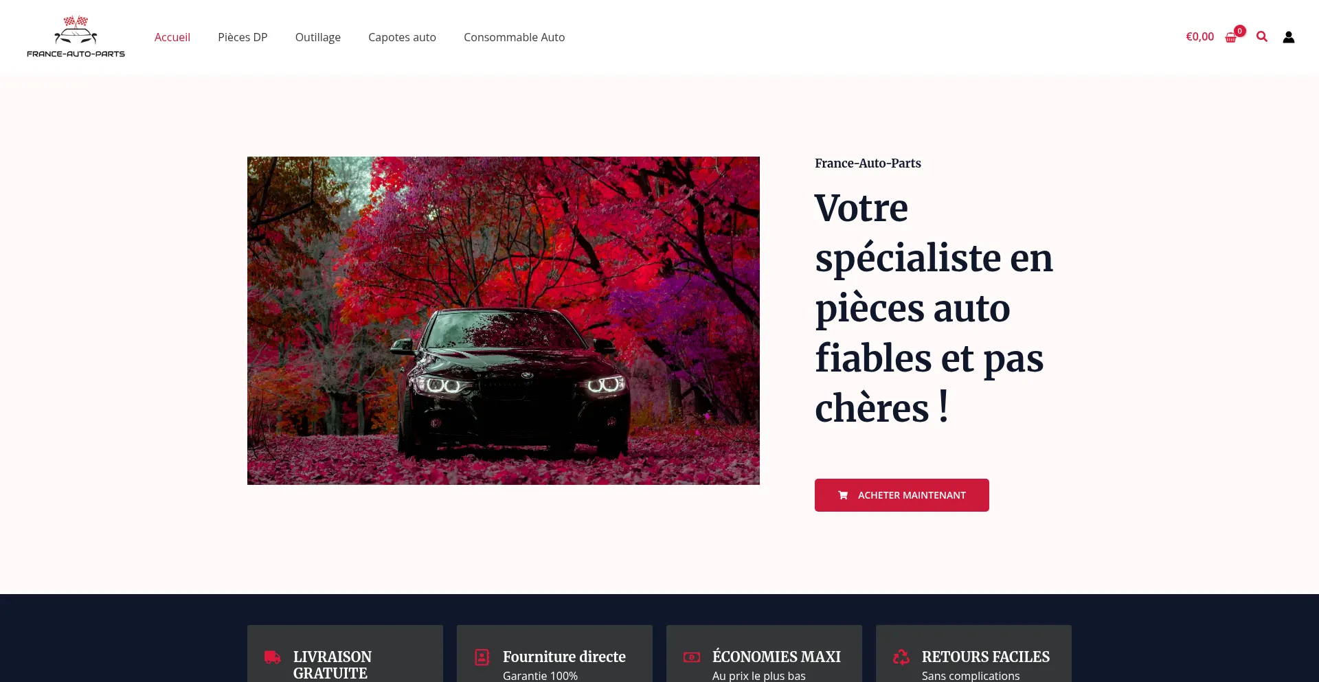 France-auto-parts.com