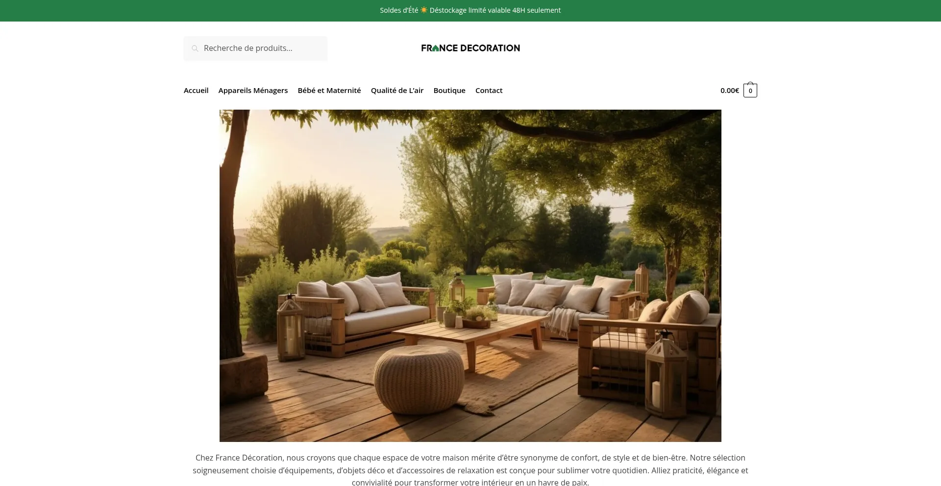 Website screenshot of France-decoration.com