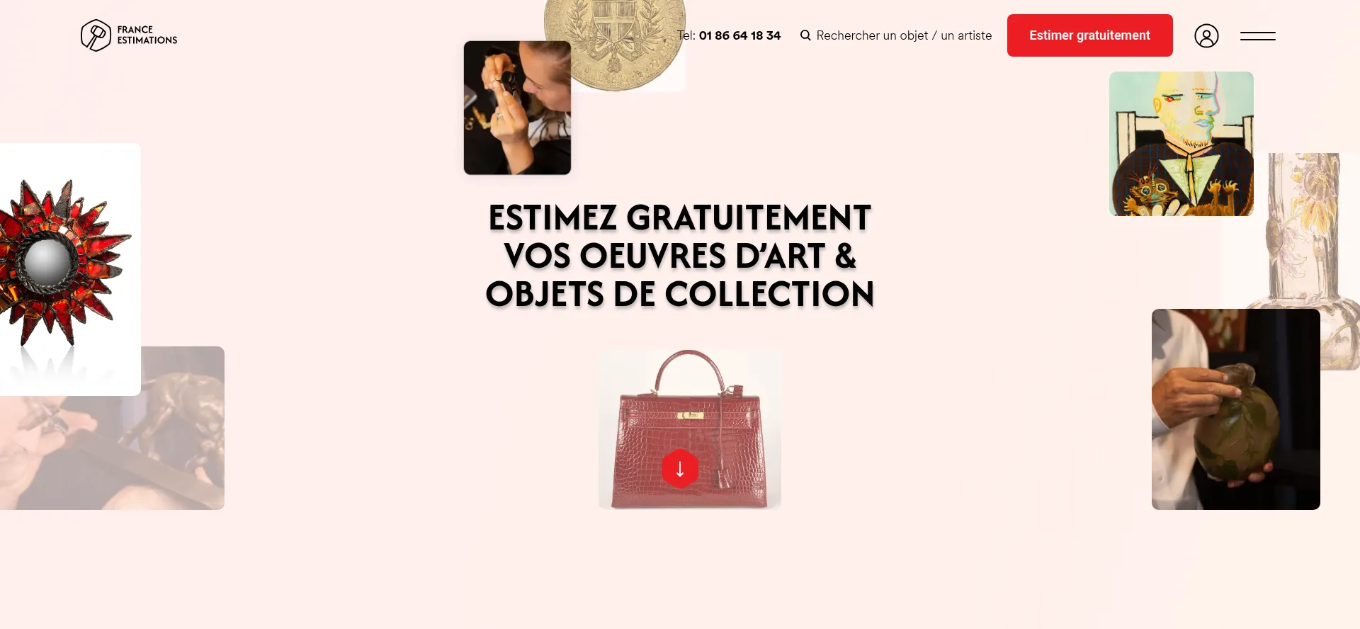 Website screenshot of France-estimations.fr
