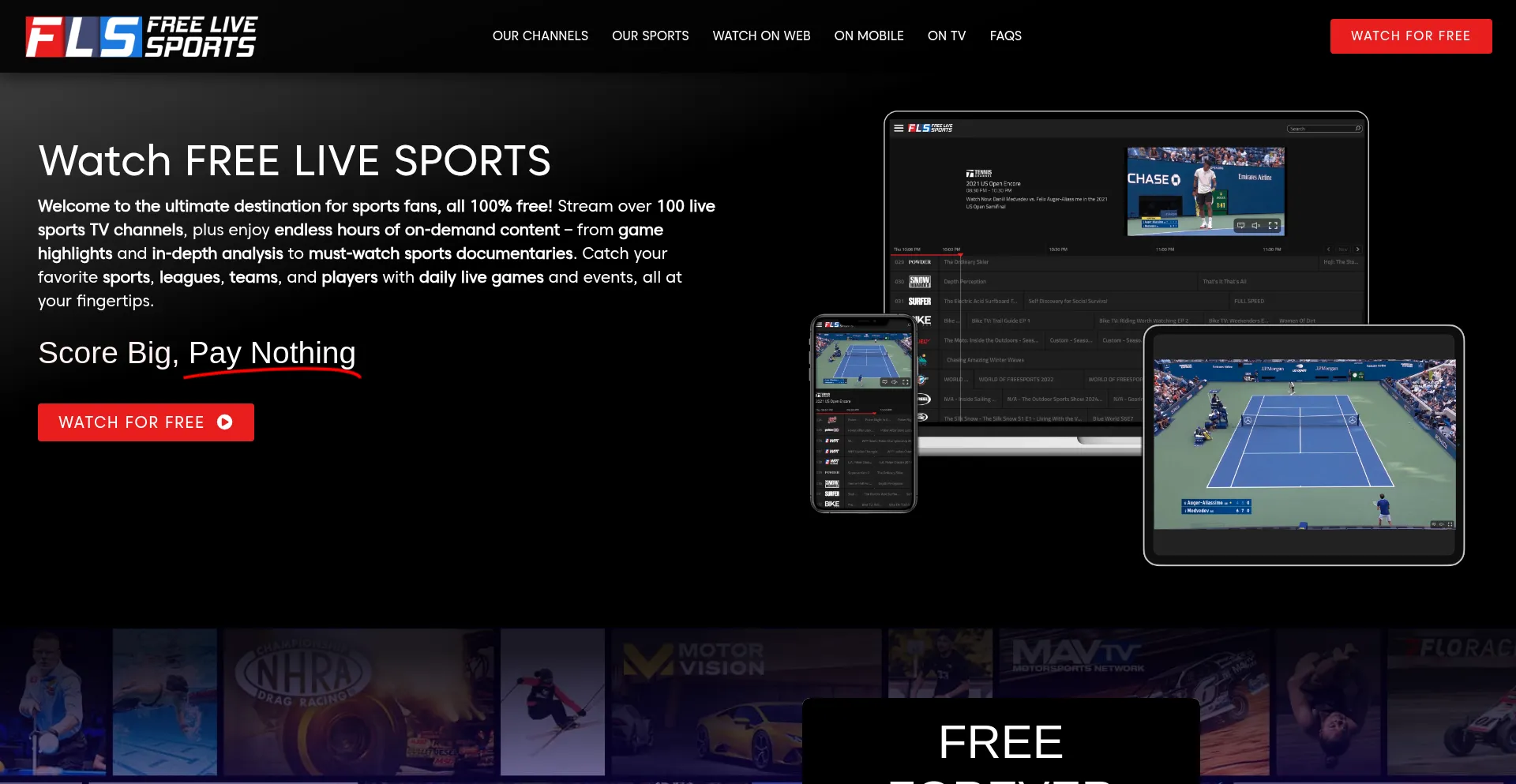 Website screenshot of Freelivesports.tv