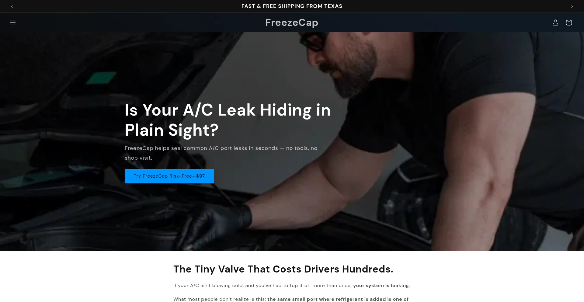 Website screenshot of Freezecap.com