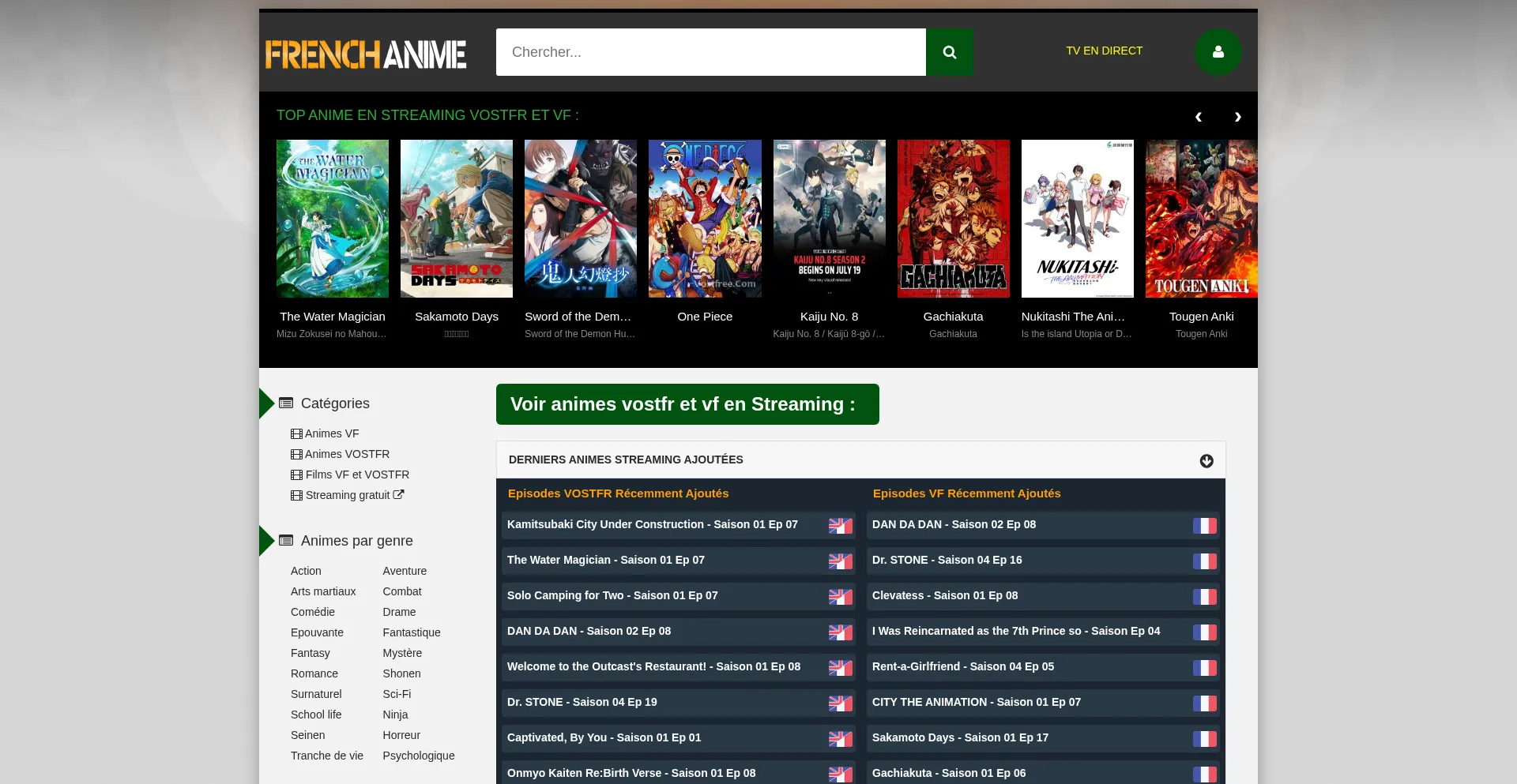 Website screenshot of French-anime.com