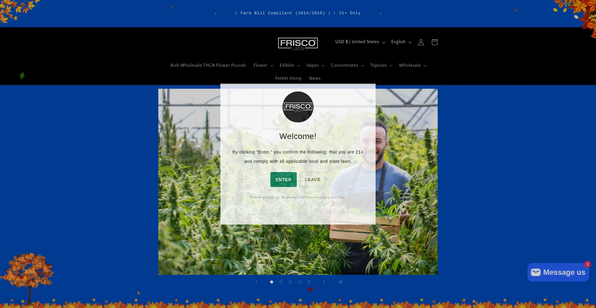 Friscolabs.com