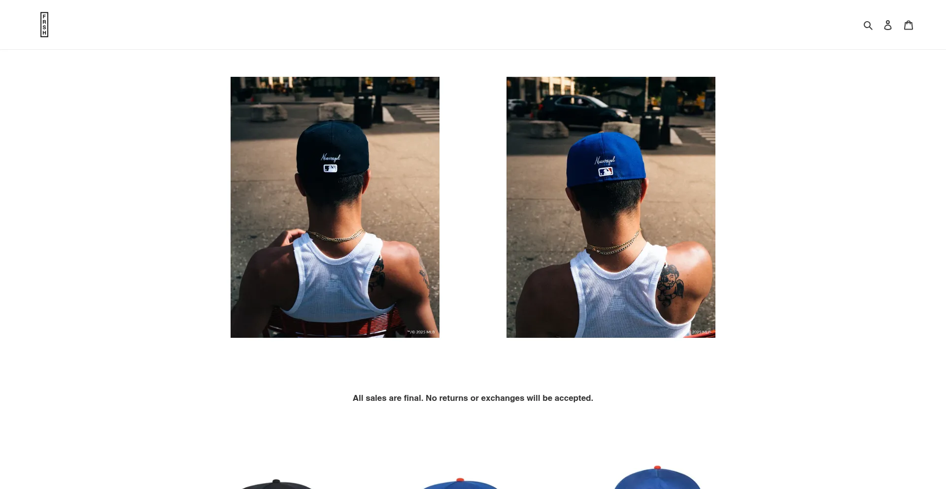 Website screenshot of Frshcompany.com