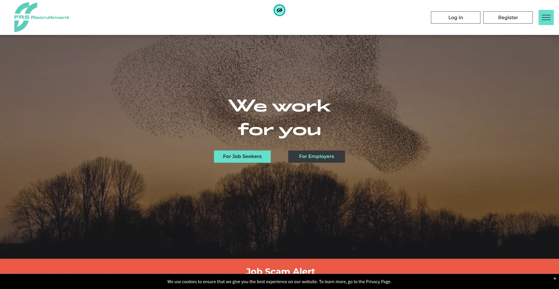 Website screenshot of Frsrecruitment.com