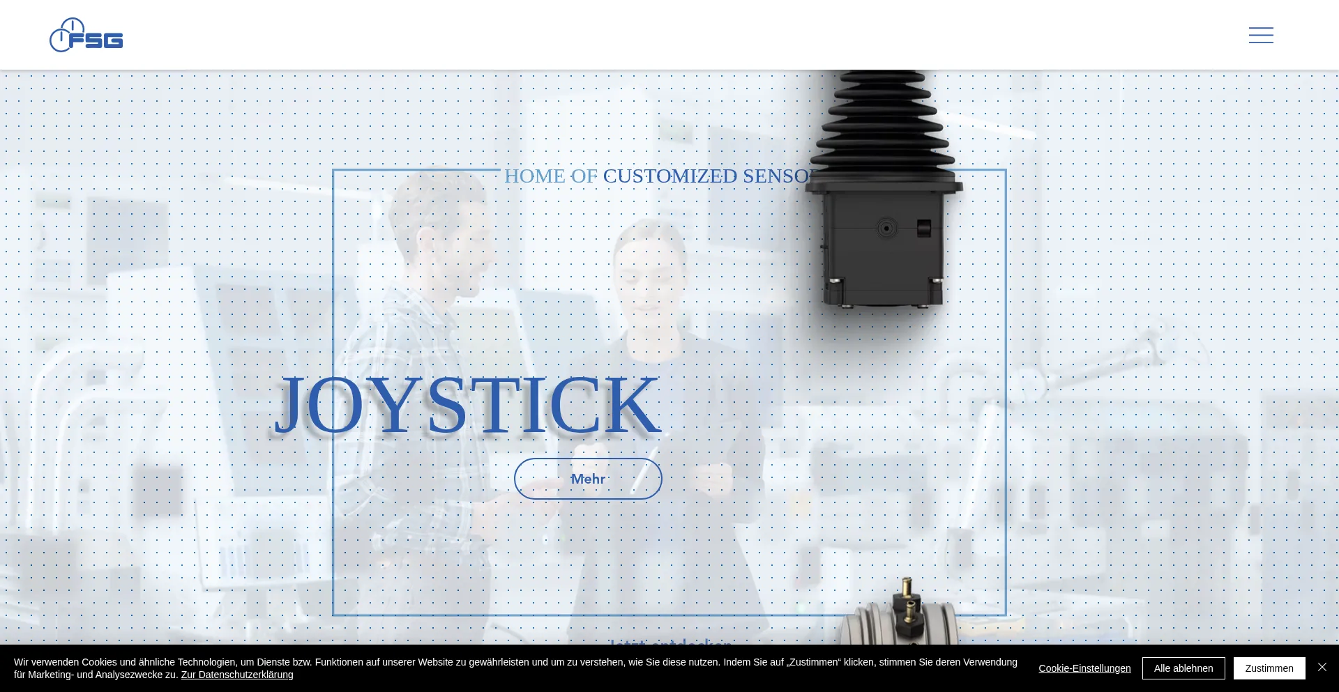 Website screenshot of Fsg-sensors.de