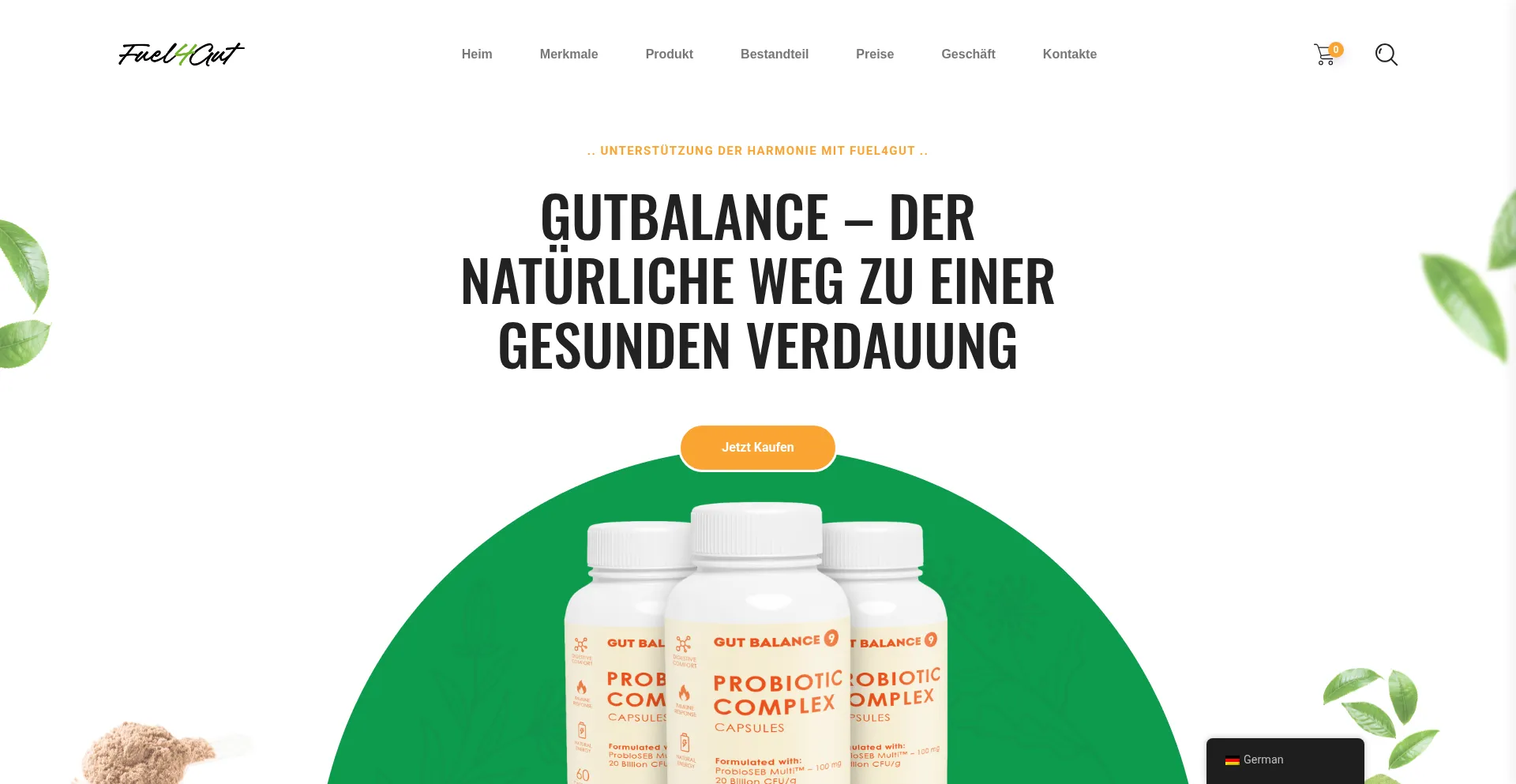 Website screenshot of Fuel4gut.com