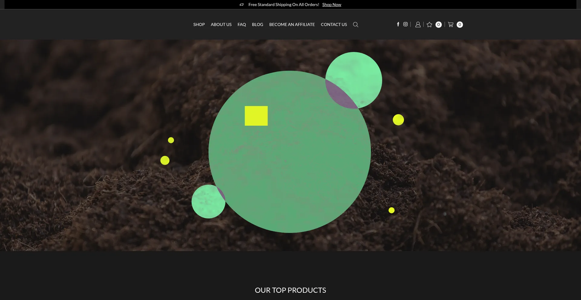 Website screenshot of Fungstrate.com