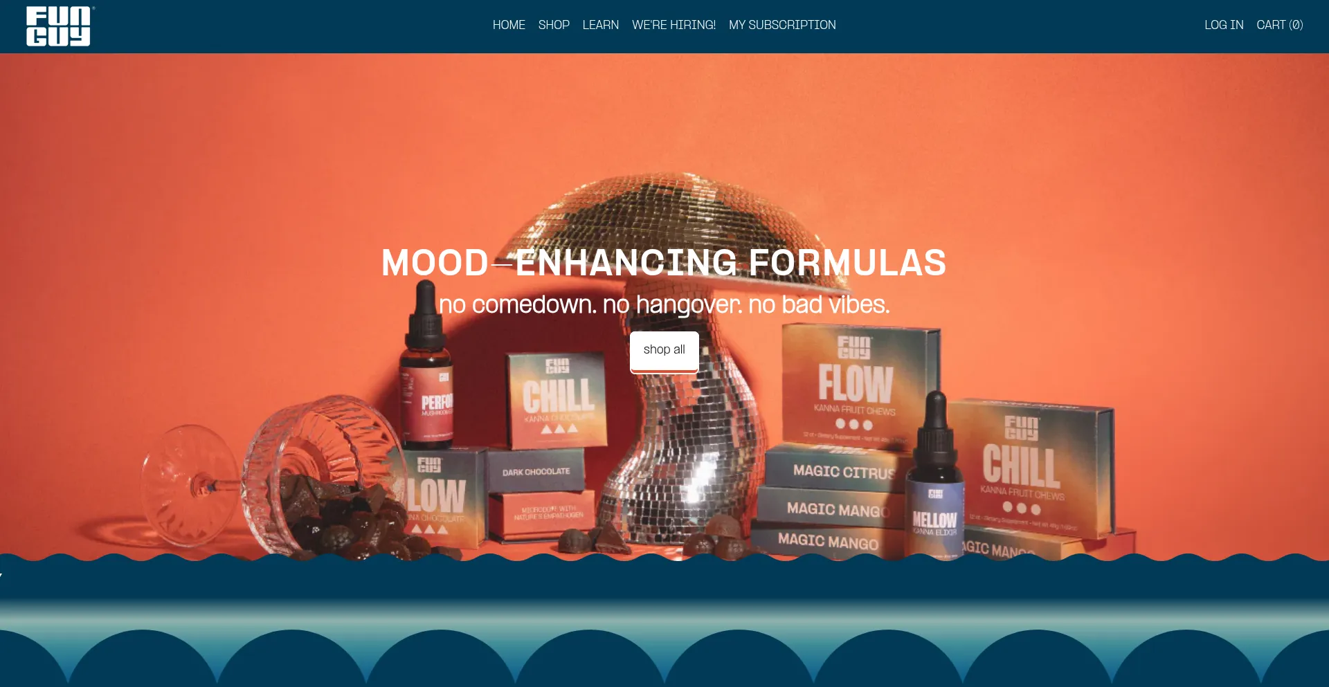 Website screenshot of Funguy.com