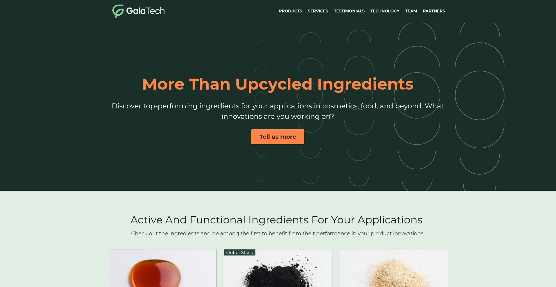 Website screenshot of Gaiatech.ch